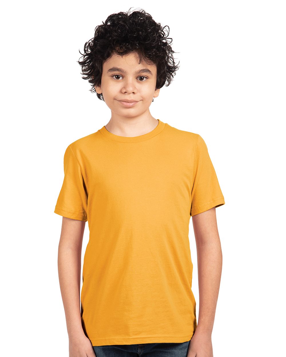 Next Level Youth Cotton Tee 3310