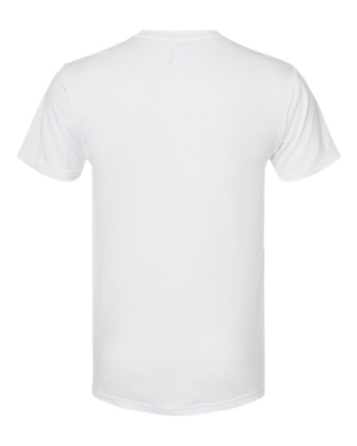 Next Level Unisex Triblend Tee 6010