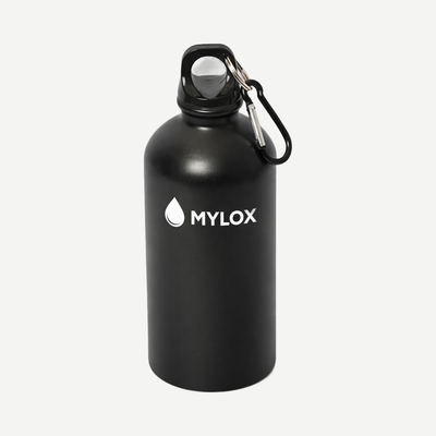 Shynebry 500 ml (17 oz) Stainless Steel Bottle