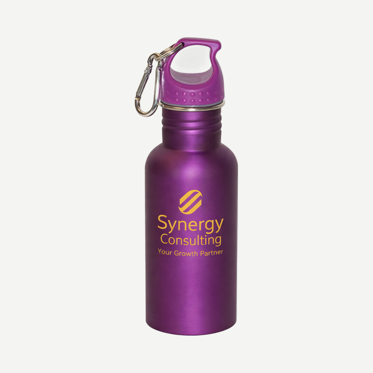 Wide Mouth 500 ml (17 oz) Stainless Steel Water Bottle - Purple Matte Metallic | Limitless Toronto